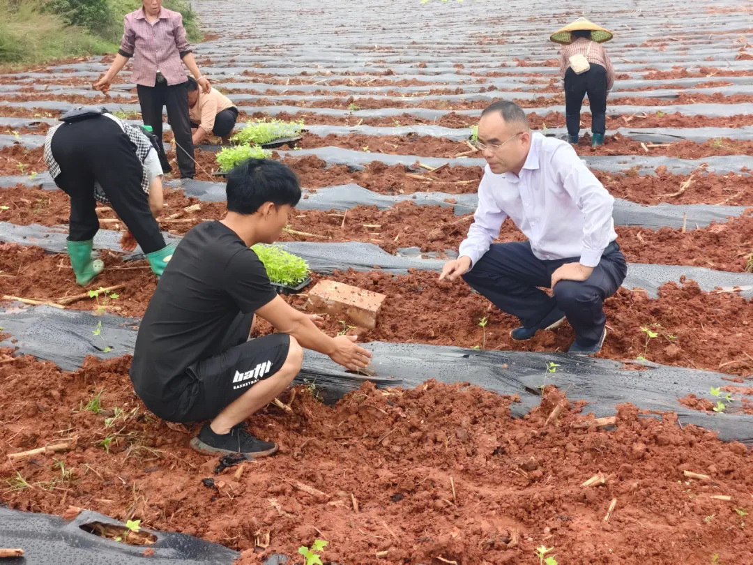 吴剑平等19人获评2024年度贵州省“改革奋斗者”称号