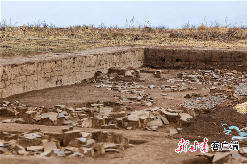 【报效祖国 建功西部】侯红伟：陇上寻秦二十年