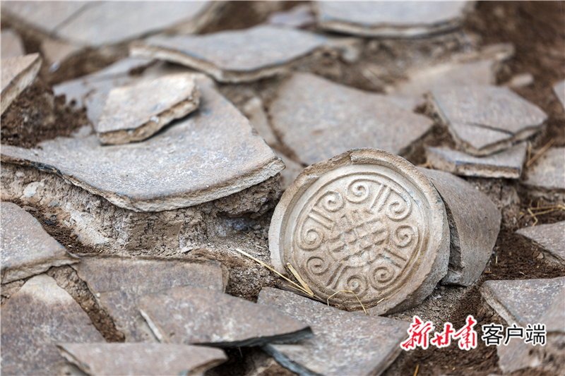 【报效祖国 建功西部】侯红伟：陇上寻秦二十年