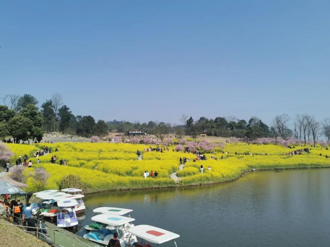 “镇”兴关键词⑦|重庆市巴南区二圣镇：筑巢引才，“四”带“二”打好振兴牌