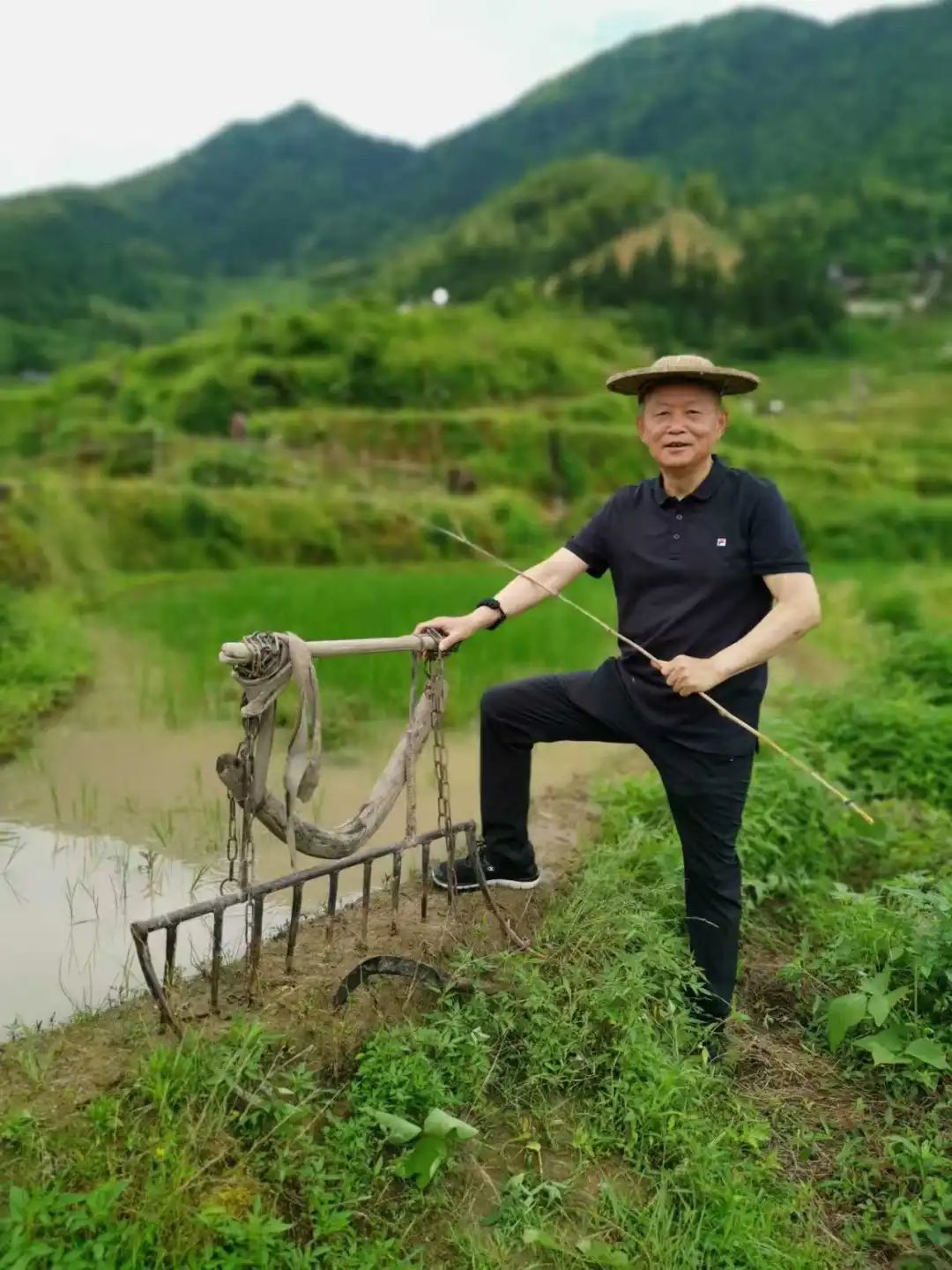 倔强的一生：怀念恩师胡彬彬教授