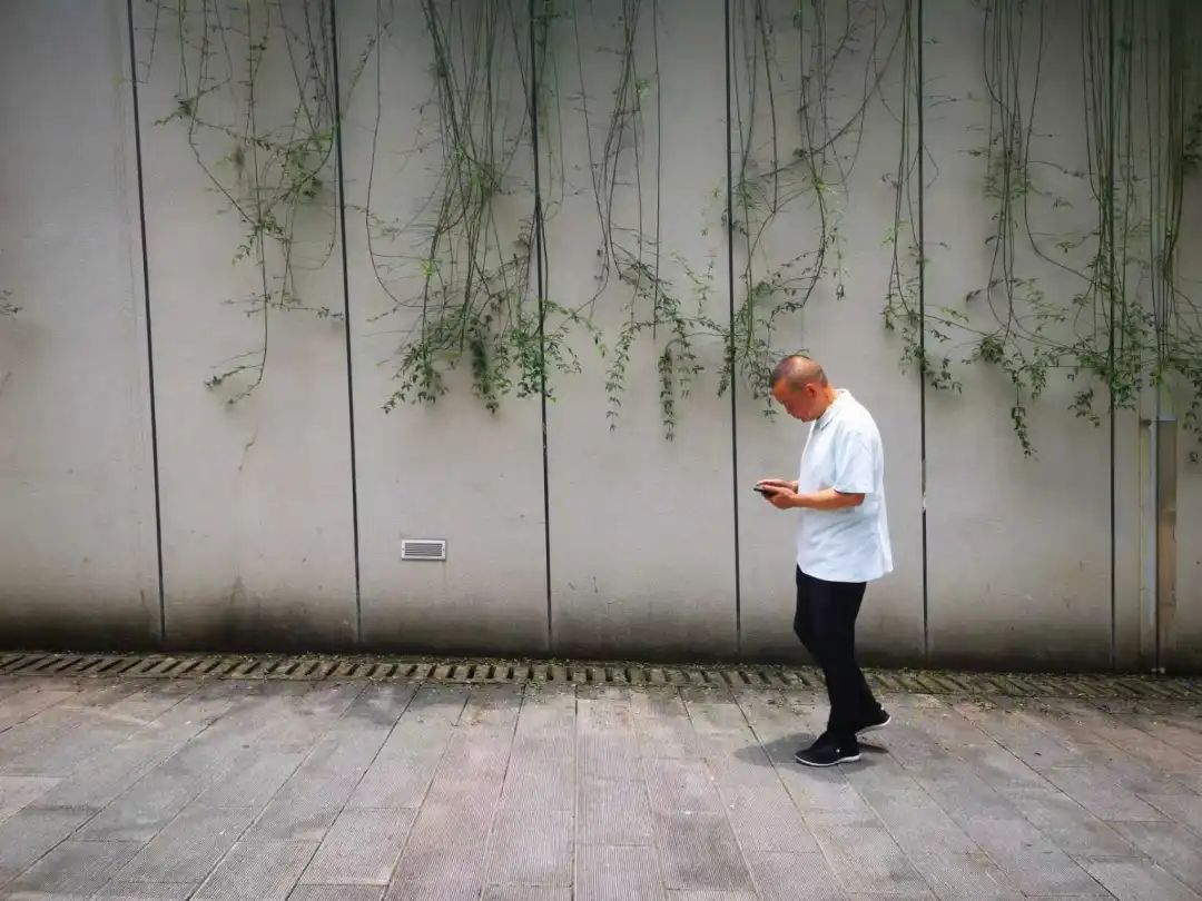 倔强的一生：怀念恩师胡彬彬教授