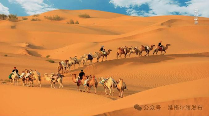 这就是准格尔