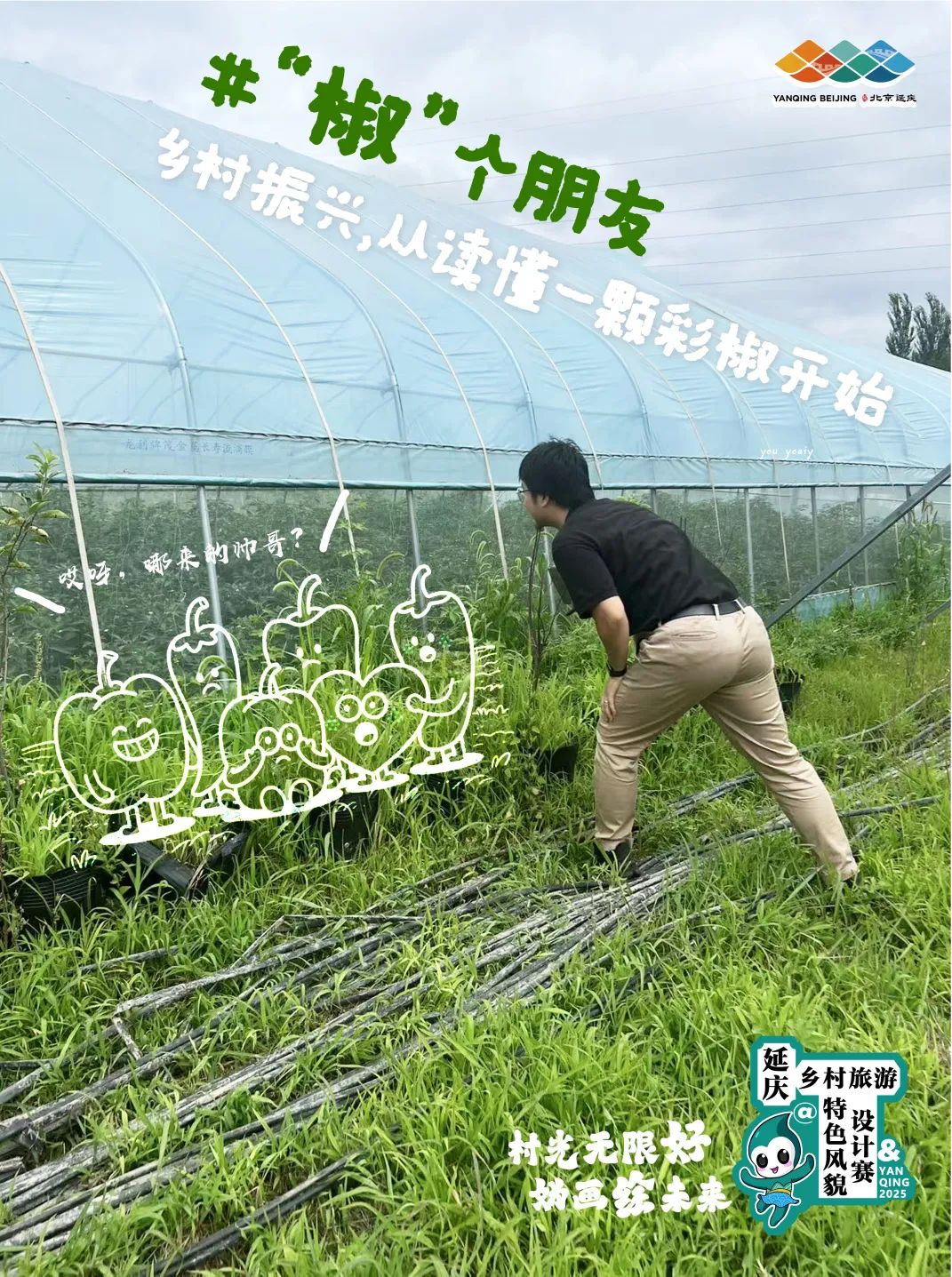 延庆村光无限好，“妫画师”下乡整活儿记！