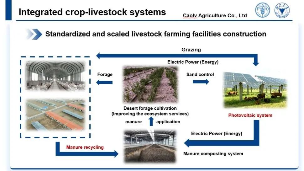 鄂尔多斯畜牧业可持续发展案例入选联合国粮农组织课题报告