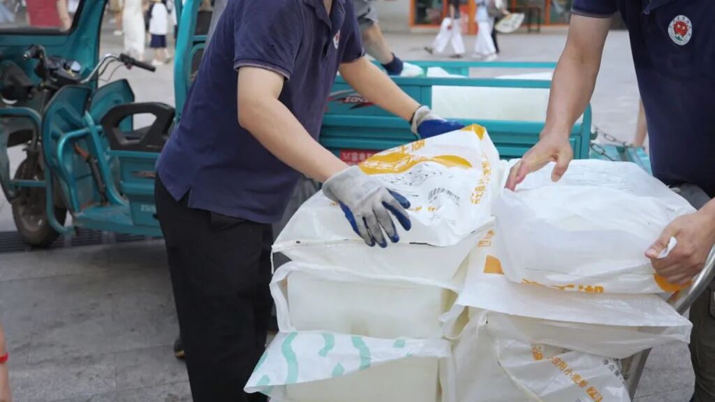 专属食谱、定时送冰……重庆动物园“铲屎官”科学守护萌兽安全