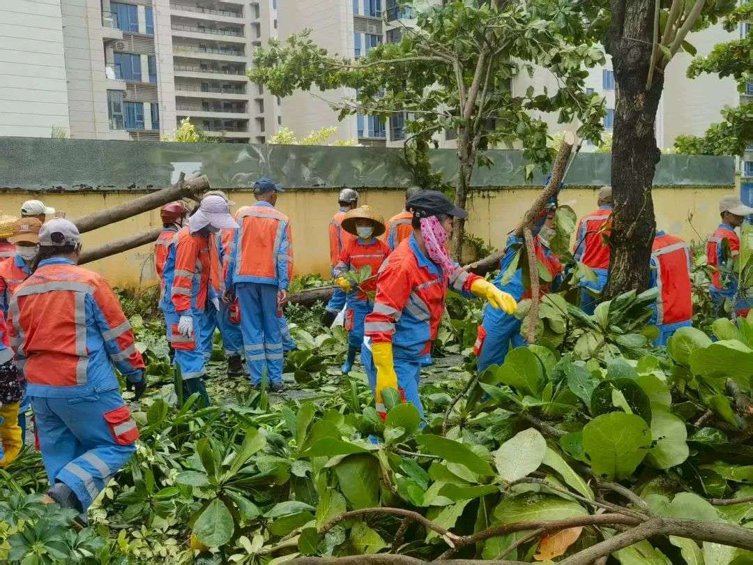 海口紧急驰援三亚开展台风“剑鱼”灾后恢复工作
