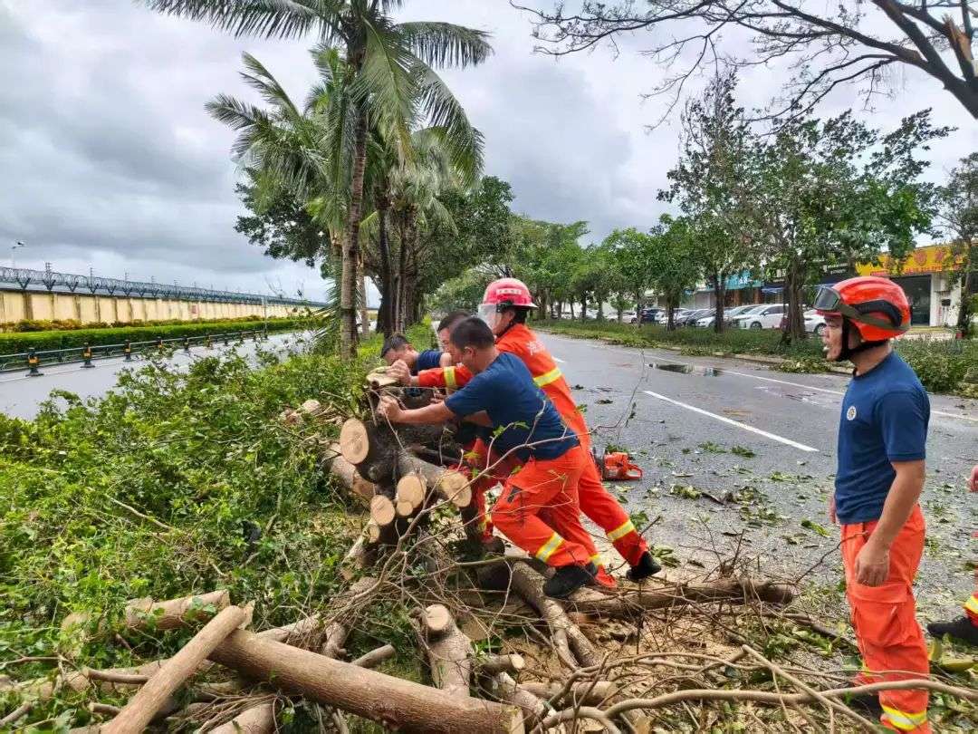 海口紧急驰援三亚开展台风“剑鱼”灾后恢复工作