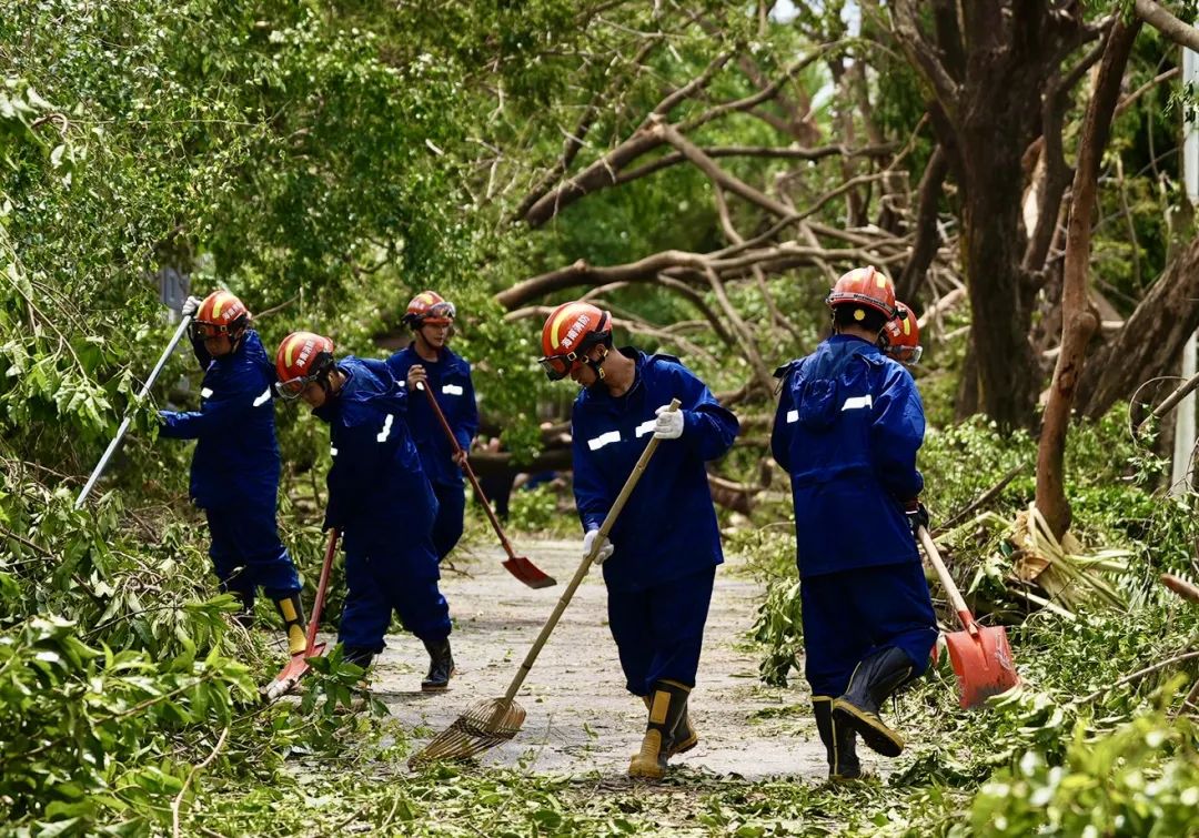 海口支援队在三亚② | 全力以赴清理倒伏树木