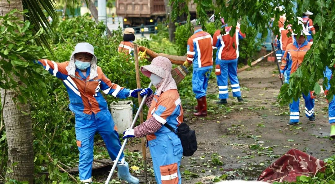 海口支援队在三亚② | 全力以赴清理倒伏树木