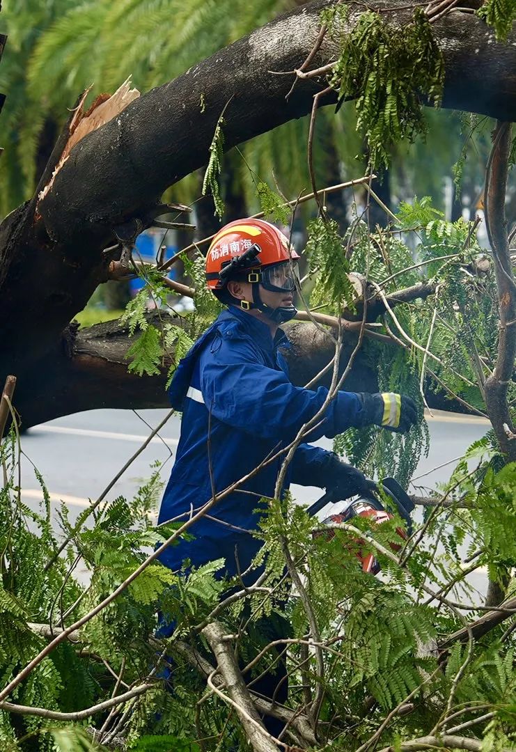 海口支援队在三亚② | 全力以赴清理倒伏树木