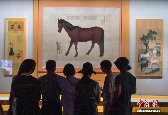 抓住暑期“尾巴” 新疆各大博物馆游客络绎不绝