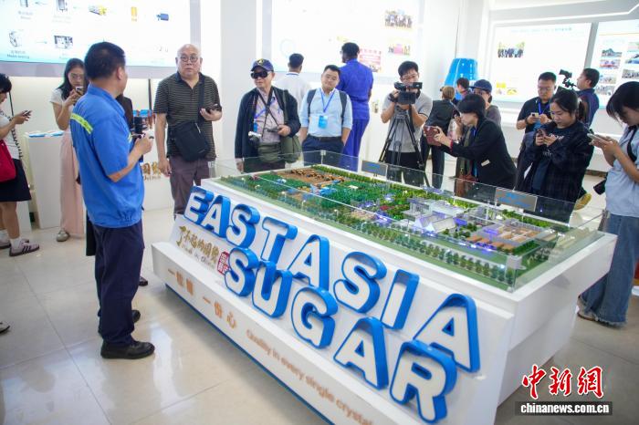 境外媒体代表和网络达人感受广西崇左经济脉动 境外媒体代表和网络达人感受广西崇左经济脉动