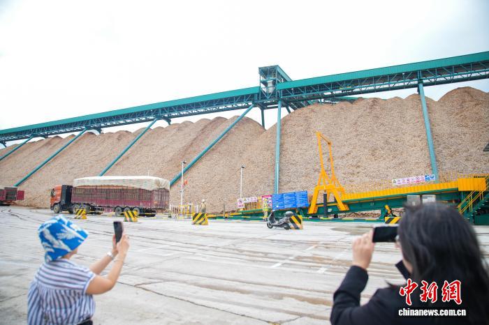 境外媒体代表和网络达人感受广西崇左经济脉动