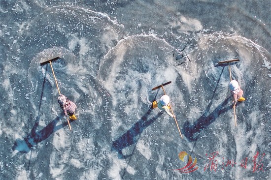 莆田市秀屿区东峤镇霞西村：古老盐田焕发新活力