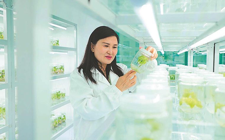 安徽联手农业科技“国家队”