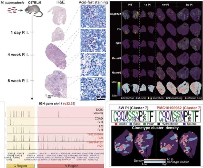 解锁疾病“时间胶囊” 深圳科研团队开发“万能钥匙”