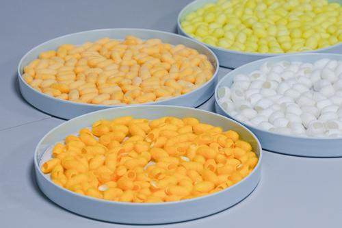 全球首张!重庆科学家绘制家蚕超级泛基因组图谱 全球首张!重庆科学家绘制家蚕超级泛基因组图谱