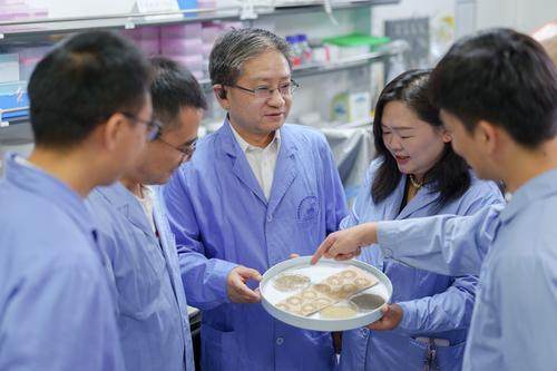 全球首张!重庆科学家绘制家蚕超级泛基因组图谱 全球首张!重庆科学家绘制家蚕超级泛基因组图谱