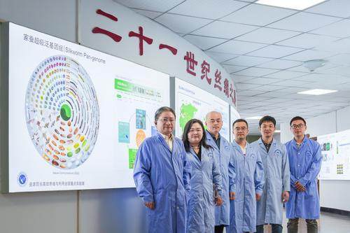 全球首张!重庆科学家绘制家蚕超级泛基因组图谱 全球首张!重庆科学家绘制家蚕超级泛基因组图谱