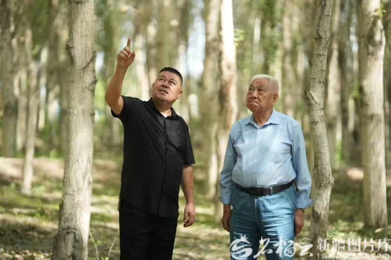 致敬新疆榜样丨柯柯牙工程建设者群体:执“绿”为笔绘就戈壁新画卷
