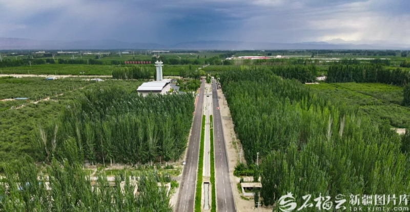 致敬新疆榜样丨柯柯牙工程建设者群体:执“绿”为笔绘就戈壁新画卷