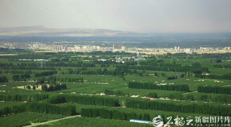 致敬新疆榜样丨柯柯牙工程建设者群体:执“绿”为笔绘就戈壁新画卷