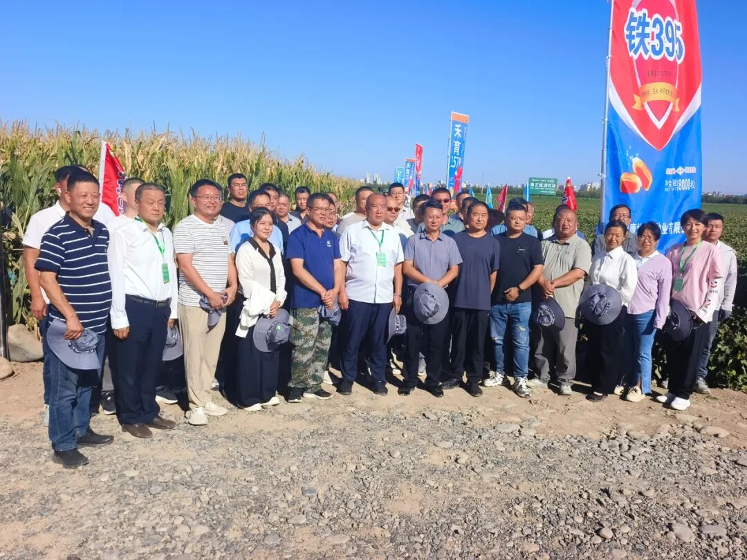 康正公司高产示范田：康正绿洲农场迎第八师玉米制种观摩团考察观摩 全链协同试验成果获高度认可