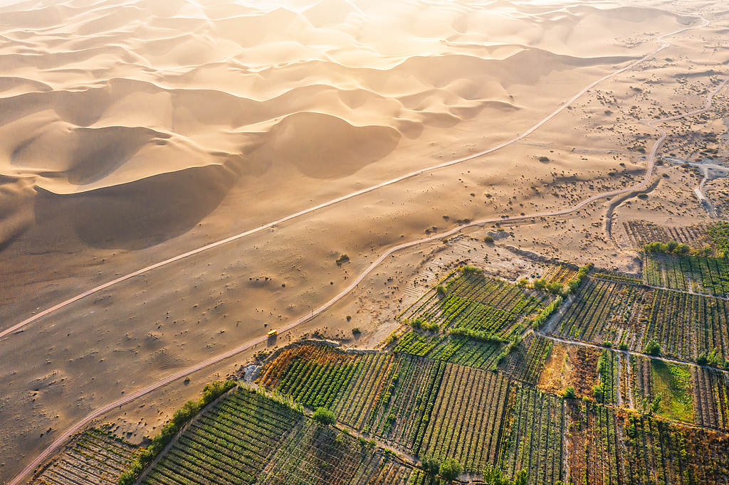 听绿色未来｜戈壁涌出三文鱼，节水工程赋能多元产业