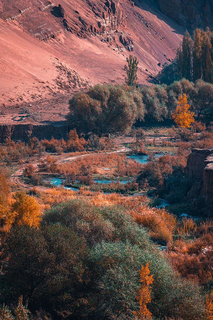 听绿色未来｜戈壁涌出三文鱼，节水工程赋能多元产业