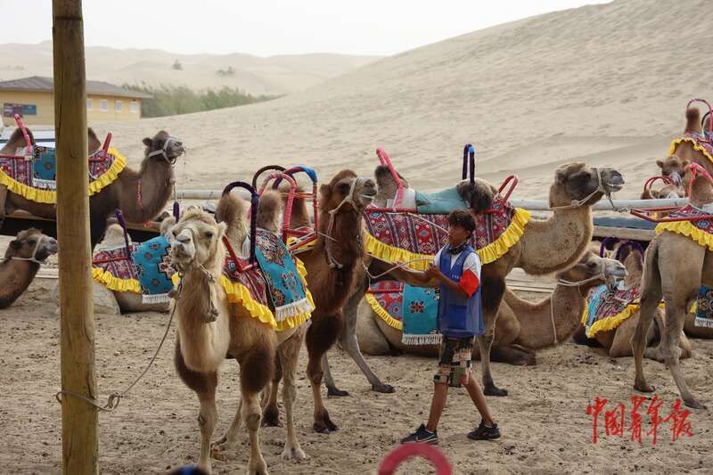 新疆尉犁:这里有风情,更有奋斗