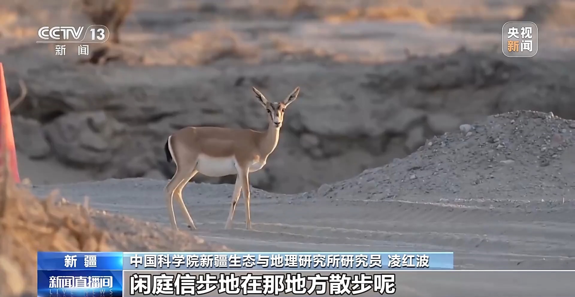 砥砺奋进七十载 天山南北谱华章丨十年巧治流沙 台特玛湖焕然新生