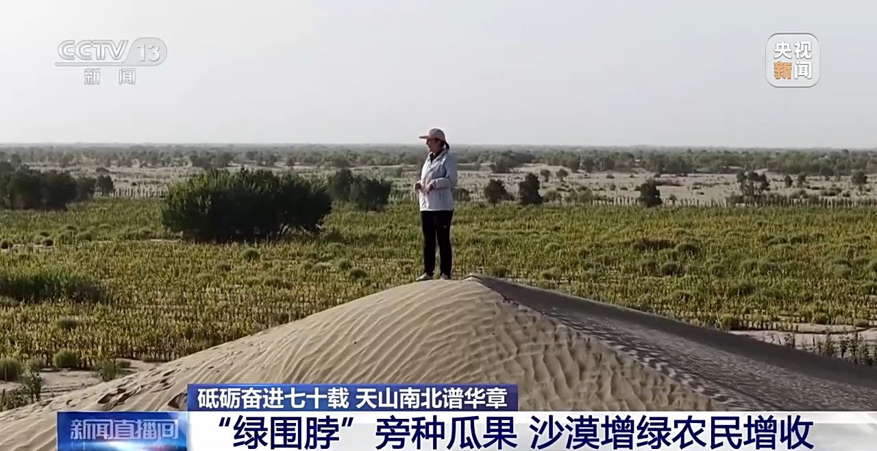 砥砺奋进七十载 天山南北谱华章丨十年巧治流沙 台特玛湖焕然新生