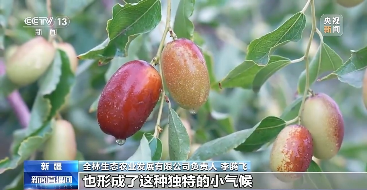 砥砺奋进七十载 天山南北谱华章丨十年巧治流沙 台特玛湖焕然新生