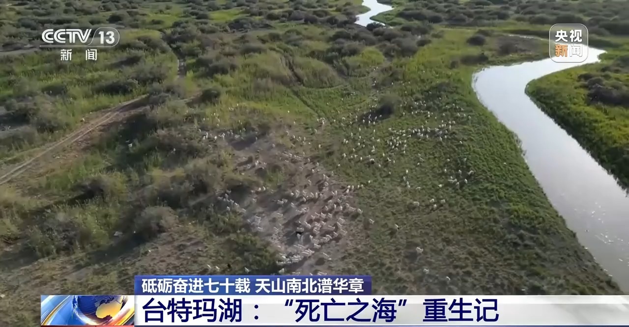 砥砺奋进七十载 天山南北谱华章丨十年巧治流沙 台特玛湖焕然新生
