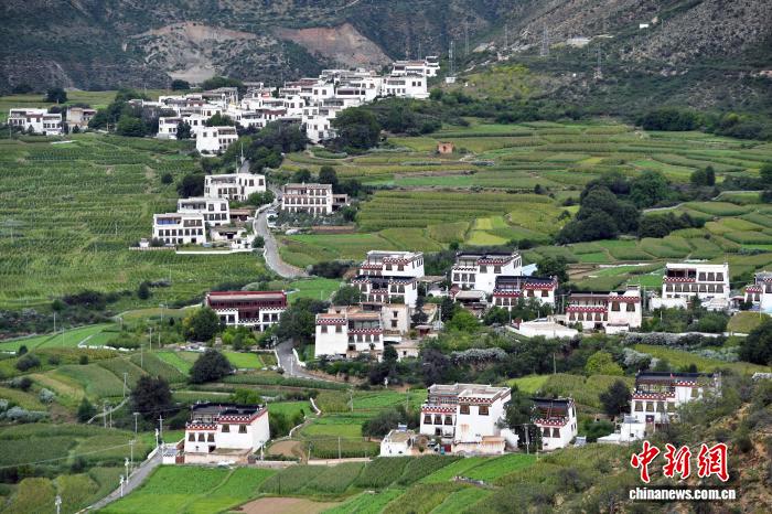 雪山下的藏乡共富记:用产业、民生与文化织就幸福图景