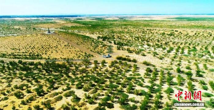 甘肃民勤“治沙人”的接力赛