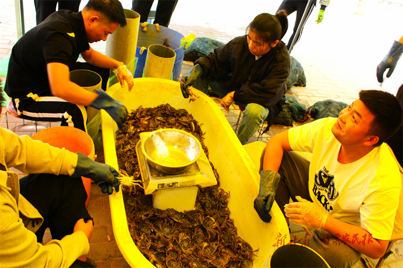 临泽:双泉湖上捕蟹忙 临泽:双泉湖上捕蟹忙