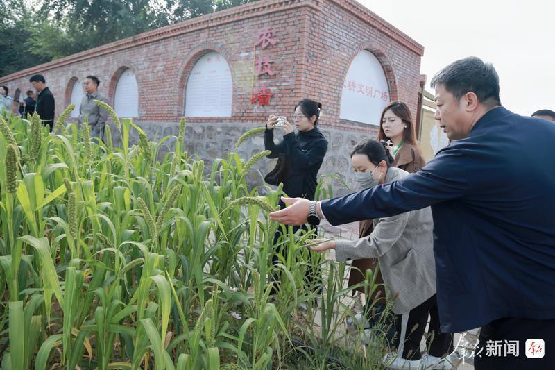 神东煤炭集团——煤海建起“绿水青山”和“金山银山” 神东煤炭集团——煤海建起“绿水青山”和“金山银山”
