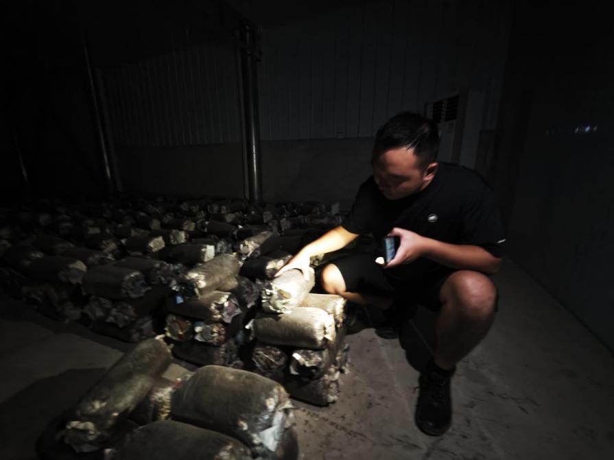 “镇”兴关键词|重庆市铜梁区大庙镇：工业领航 农业护驾 奏响“以产兴城”协奏曲