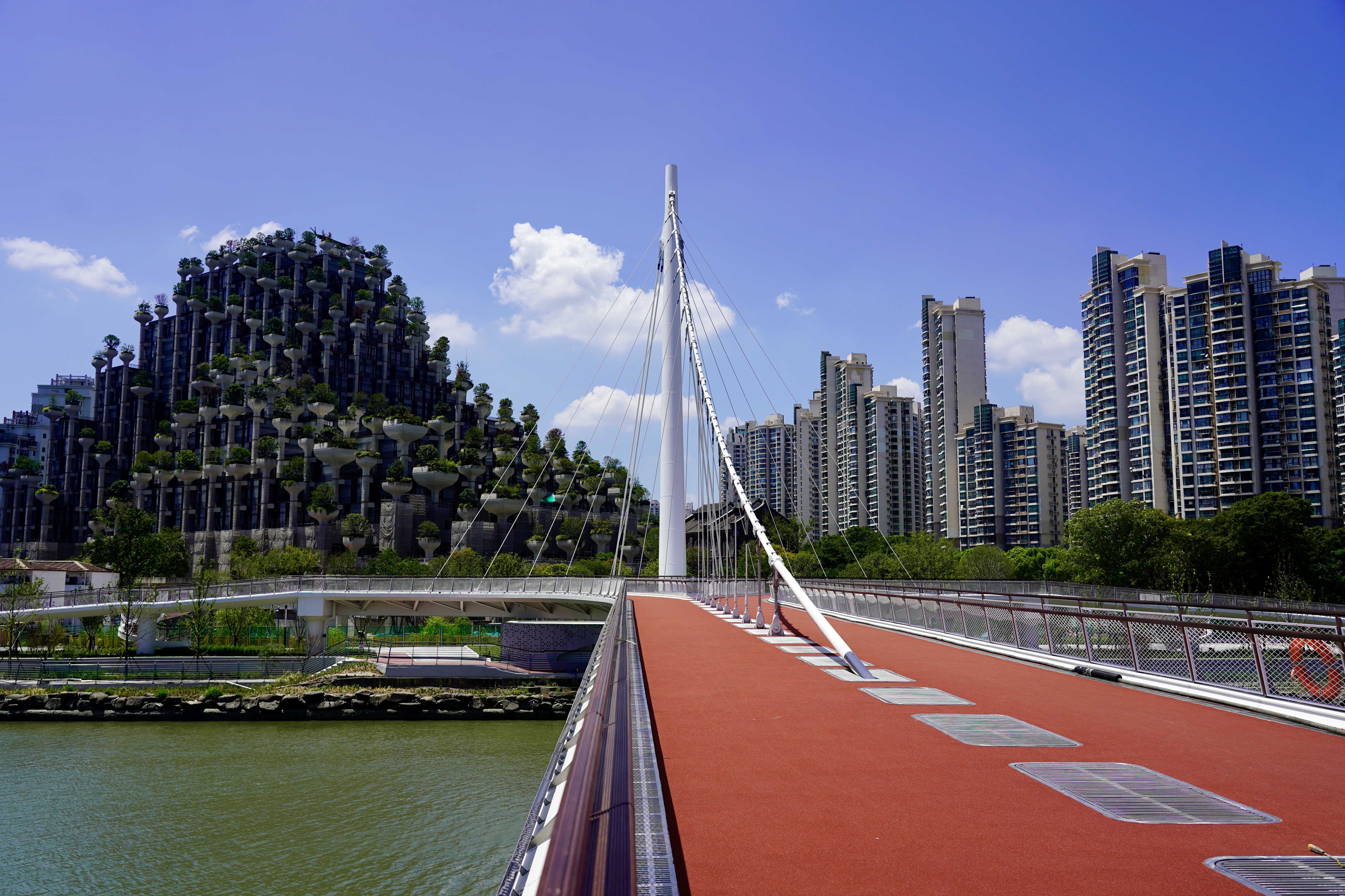 苏州河上新添百合桥，沿沪宁九城百位新人浪漫联动