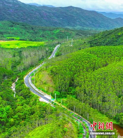 产业“含绿量”与生态“高颜值”并存 深汕实践引专家关注