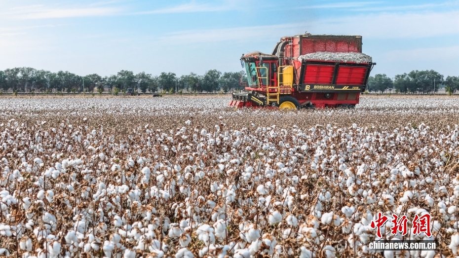 (砥砺奋进七十载 天山南北谱华章)千年丝路展新颜 解锁不一“Young”的新疆 (砥砺奋进七十载 天山南北谱华章)千年丝路展新颜 解锁不一“Young”的新疆