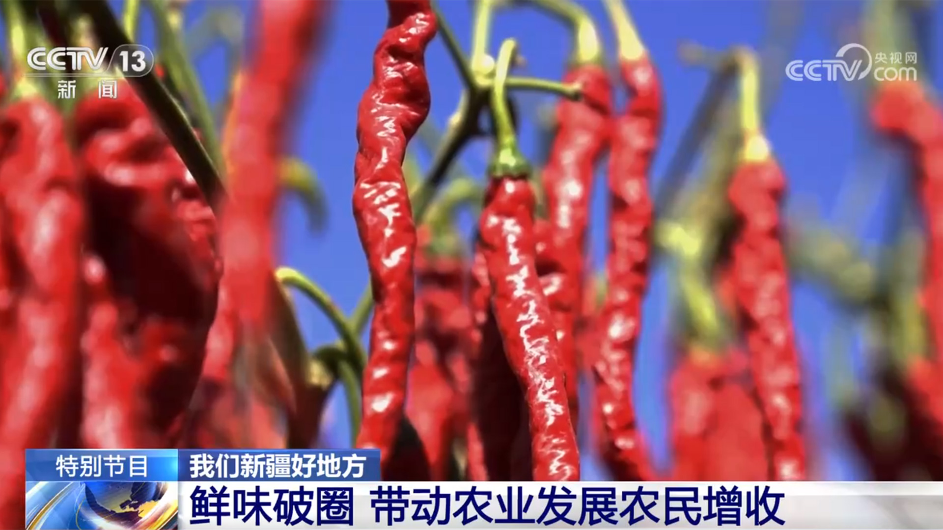 食材讲究、鲜味破圈 新疆大盘鸡美味密码藏不住了