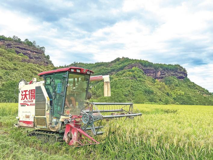 稻香阵阵说丰年
