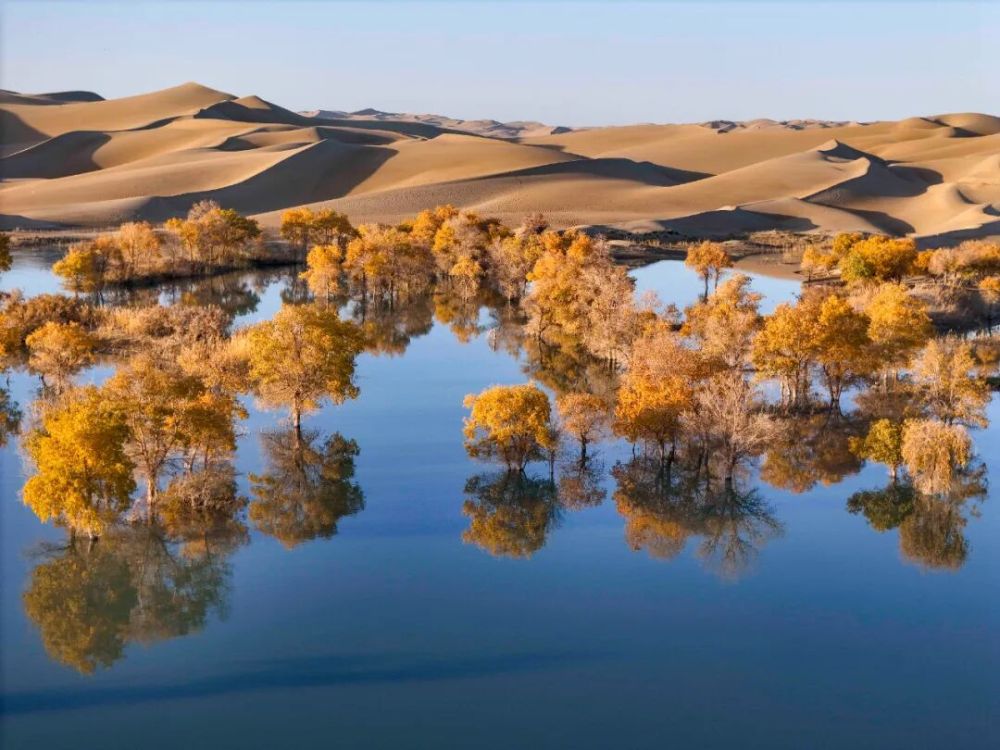 这就是新疆! 这就是新疆!