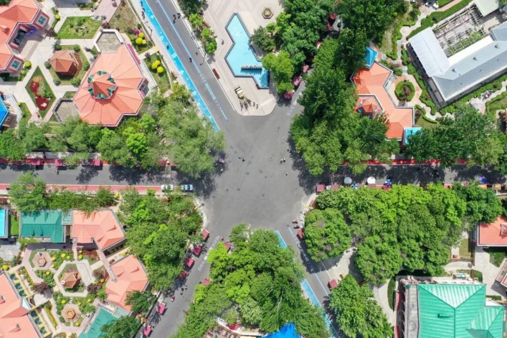 这就是新疆! 这就是新疆!