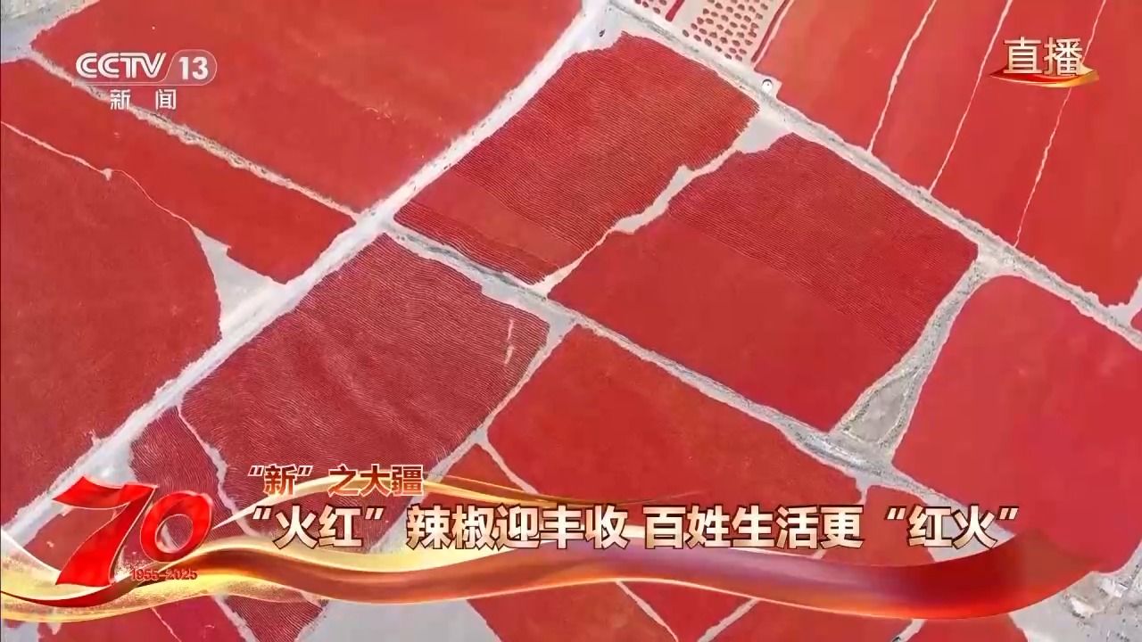 在新疆万亩戈壁晾晒场 看“火红辣椒”带来“红火日子”