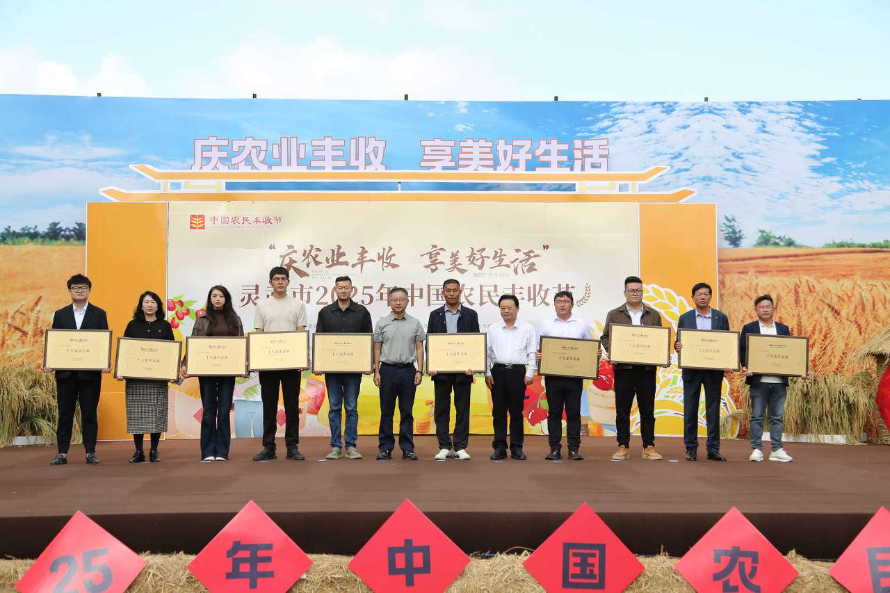 宁夏灵武：丰收的乡村展现新风貌