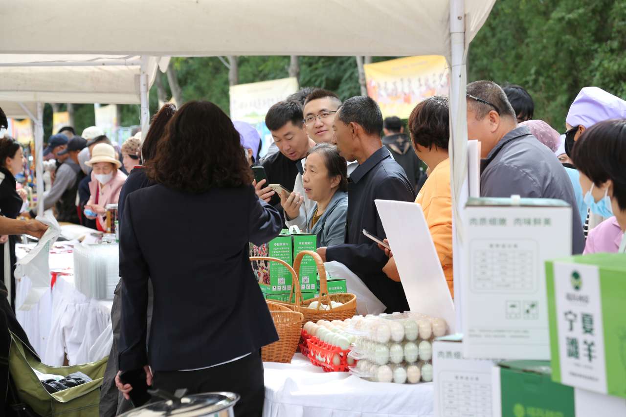 宁夏灵武：丰收的乡村展现新风貌